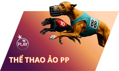 Gem88 08tdxt2 🎮️ Nhà Cái Gem88 Thể Thao Gem88 Help Link Mới Nhất 23 The Thao Ao Pp